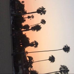 Meet your Posher, Yvette